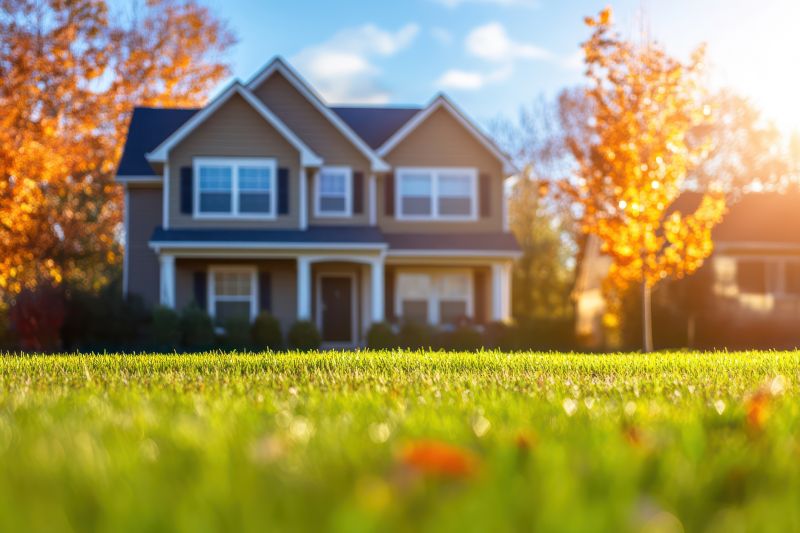 Fall Lawn Cleanup