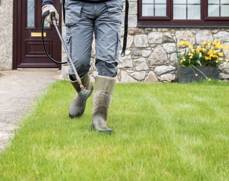 Professional Lawn Care Teams