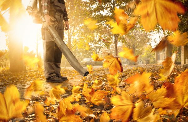 Leaf Blowing Service in Jersey City