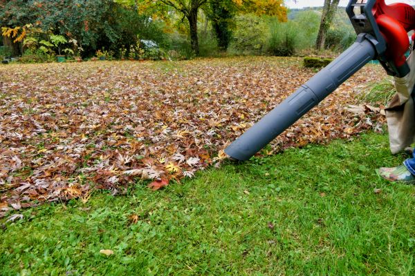Leaf Vacuuming Service in Jersey City