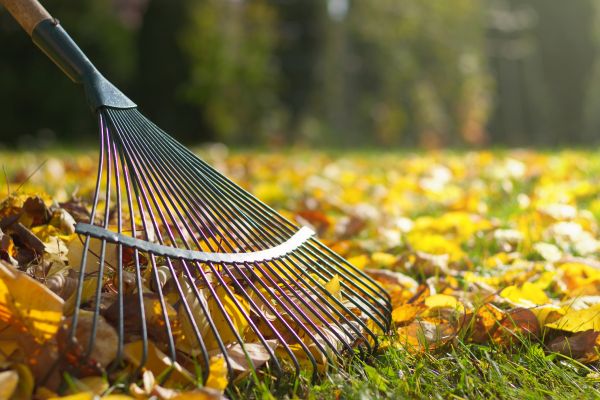 Leaf Raking Service in Jersey City