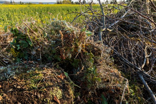 Brush Disposal in Jersey City