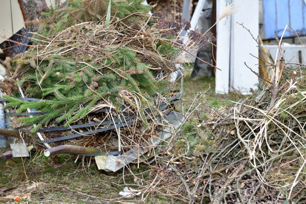 Yard Waste Removal Service in Jersey City