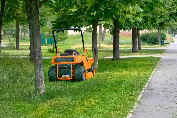 Landscaping Cleanup Service in Jersey City