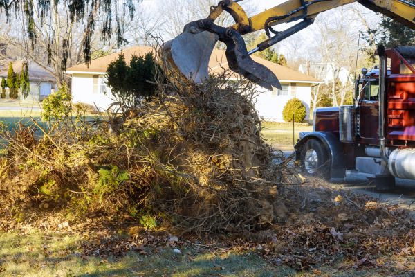 Storm Debris Removal in Jersey City