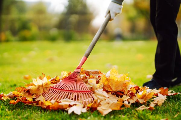 Ditch Leaf Removal in Jersey City
