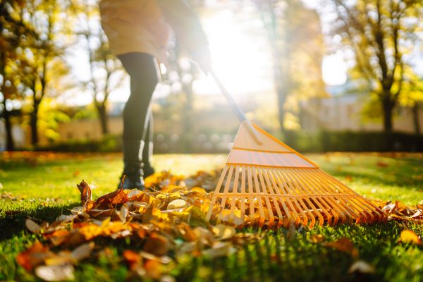 Leaves Raking in Jersey City