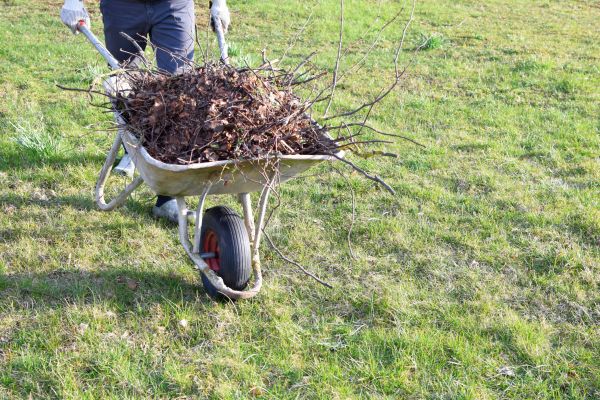 Yard Brush Removal in Jersey City