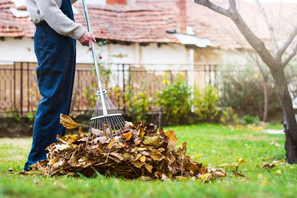 Spring Lawn Cleanup in Jersey City