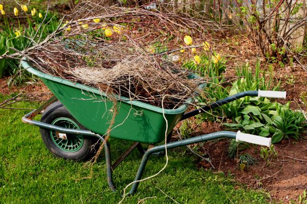 Lawn Waste Removal in Jersey City