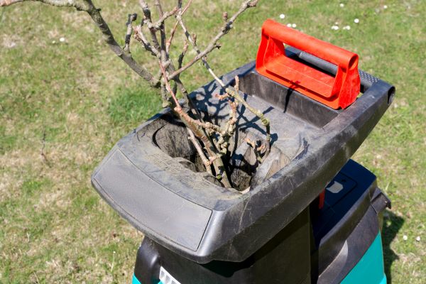 Cost of Brush Cleanup Service in Jersey City