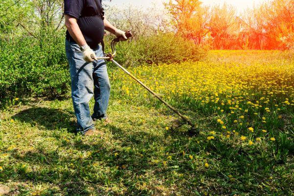 Yard Clearing Service in Jersey City