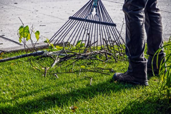 Yard Debris Cleanup in Jersey City